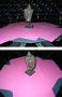 research:topics:image-based_3d_reconstruction:head_img_2.png